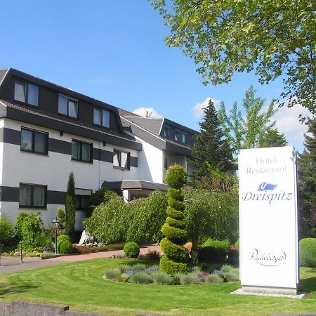 Dreispitz -B&B-Hotel Garni Гофгайм-ам-Таунус Екстер'єр фото